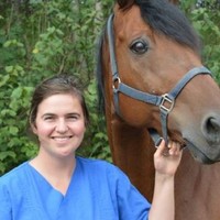 afbeelding van Online Vet Training Paard lesgever Eline Vercruysse