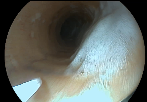 Uitgelichte afbeelding van OVT sessie