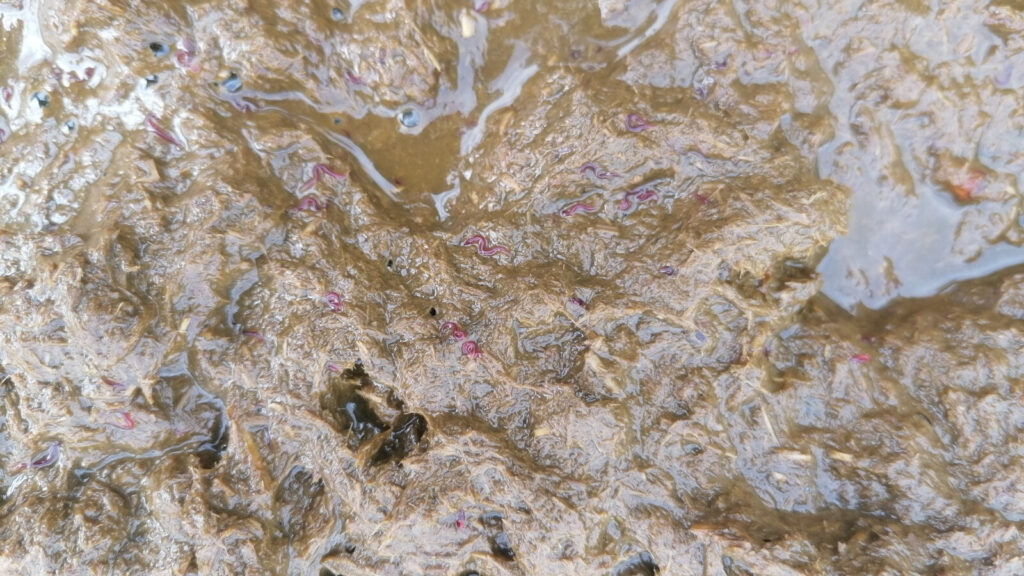 Uitgelichte afbeelding van OVT sessie