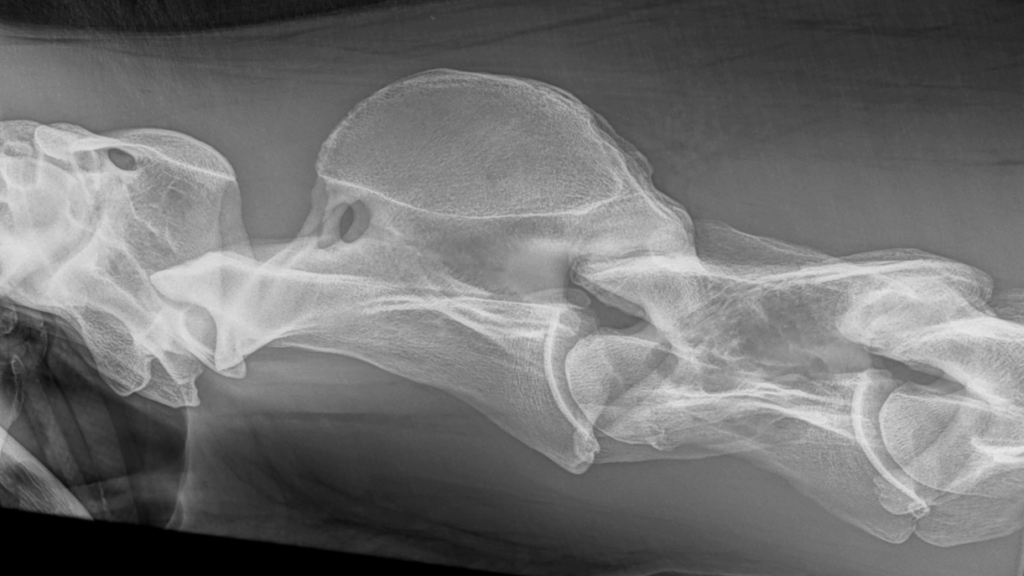 Uitgelichte afbeelding van OVT sessie