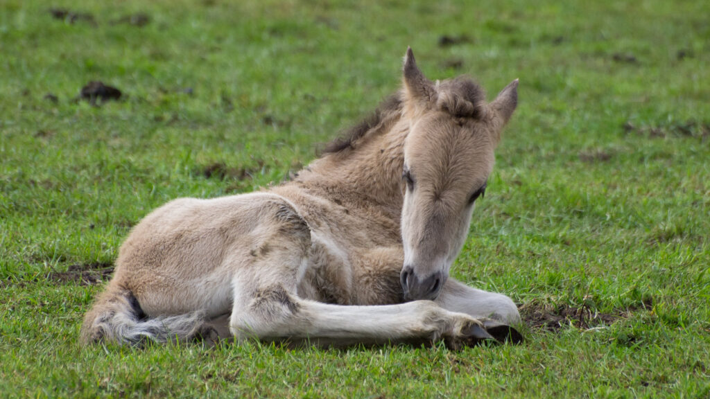 Uitgelichte afbeelding van OVT sessie