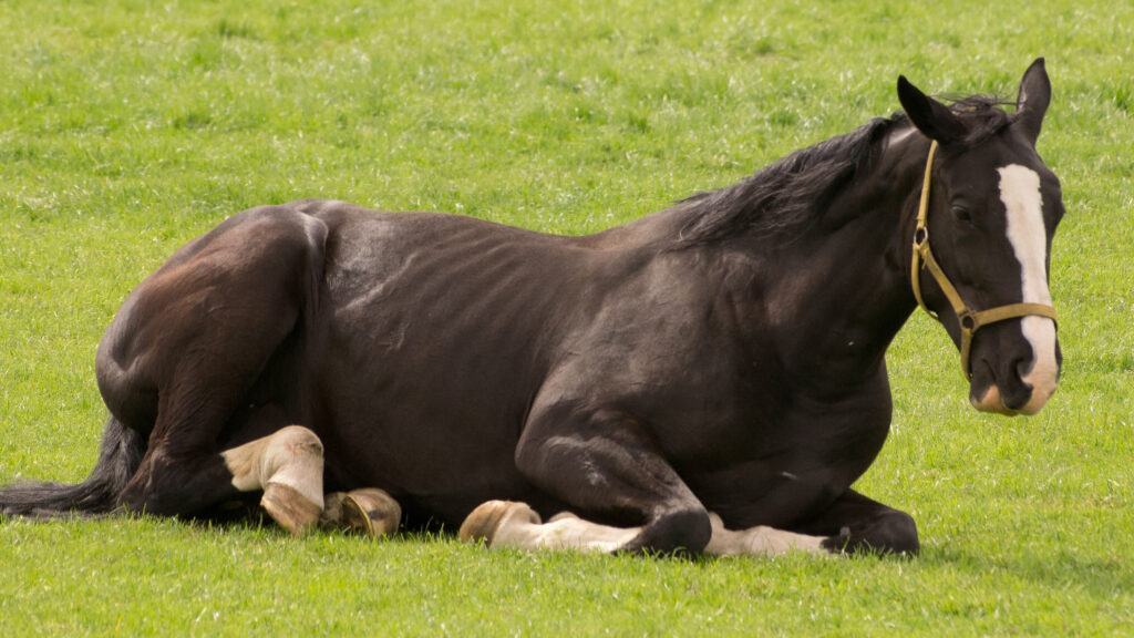 Uitgelichte afbeelding van OVT sessie