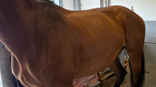 Uitgelichte afbeelding van OVT sessie