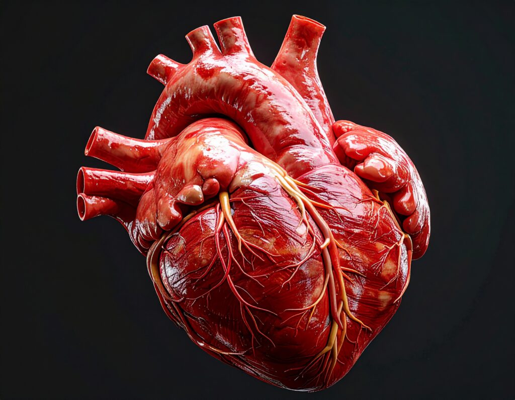 Uitgelichte afbeelding van OVT sessie