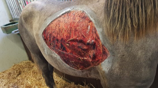 Uitgelichte afbeelding van OVT sessie