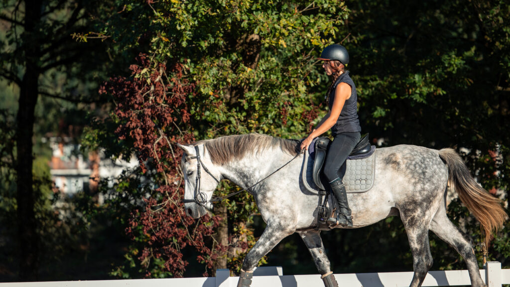 Uitgelichte afbeelding van OVT sessie