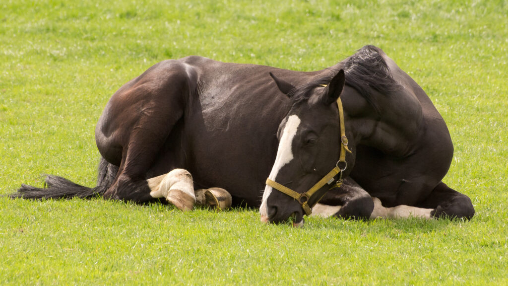 Uitgelichte afbeelding van OVT sessie