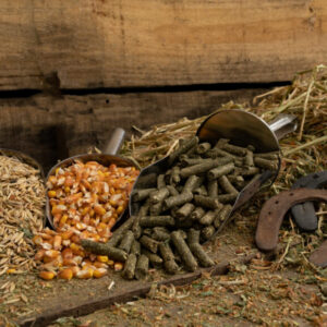 Voeding van het gezonde (sport)paard