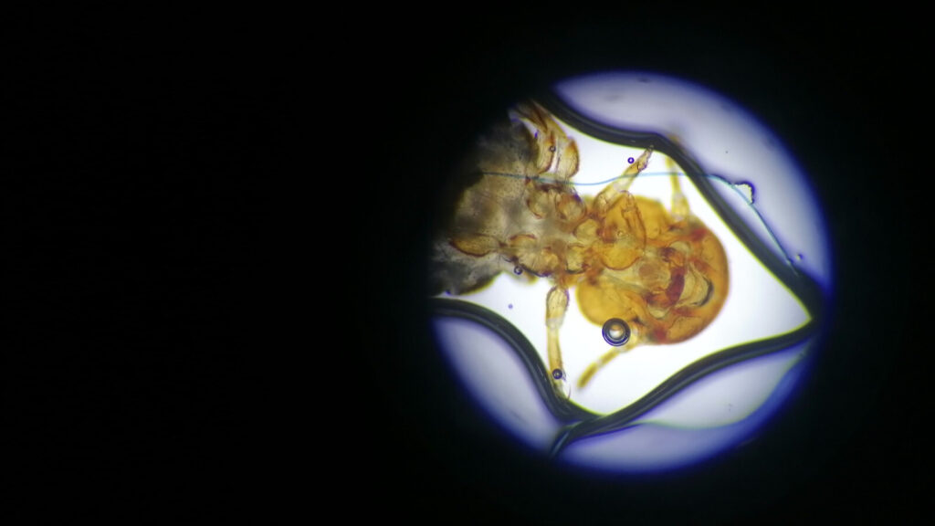 Uitgelichte afbeelding van OVT sessie