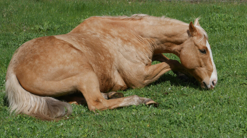 uitgelichte afbeelding van ovt sessie