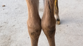 uitgelichte afbeelding van ovt sessie