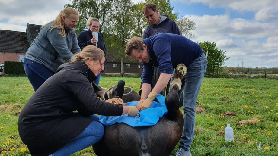 uitgelichte afbeelding van ovt sessie