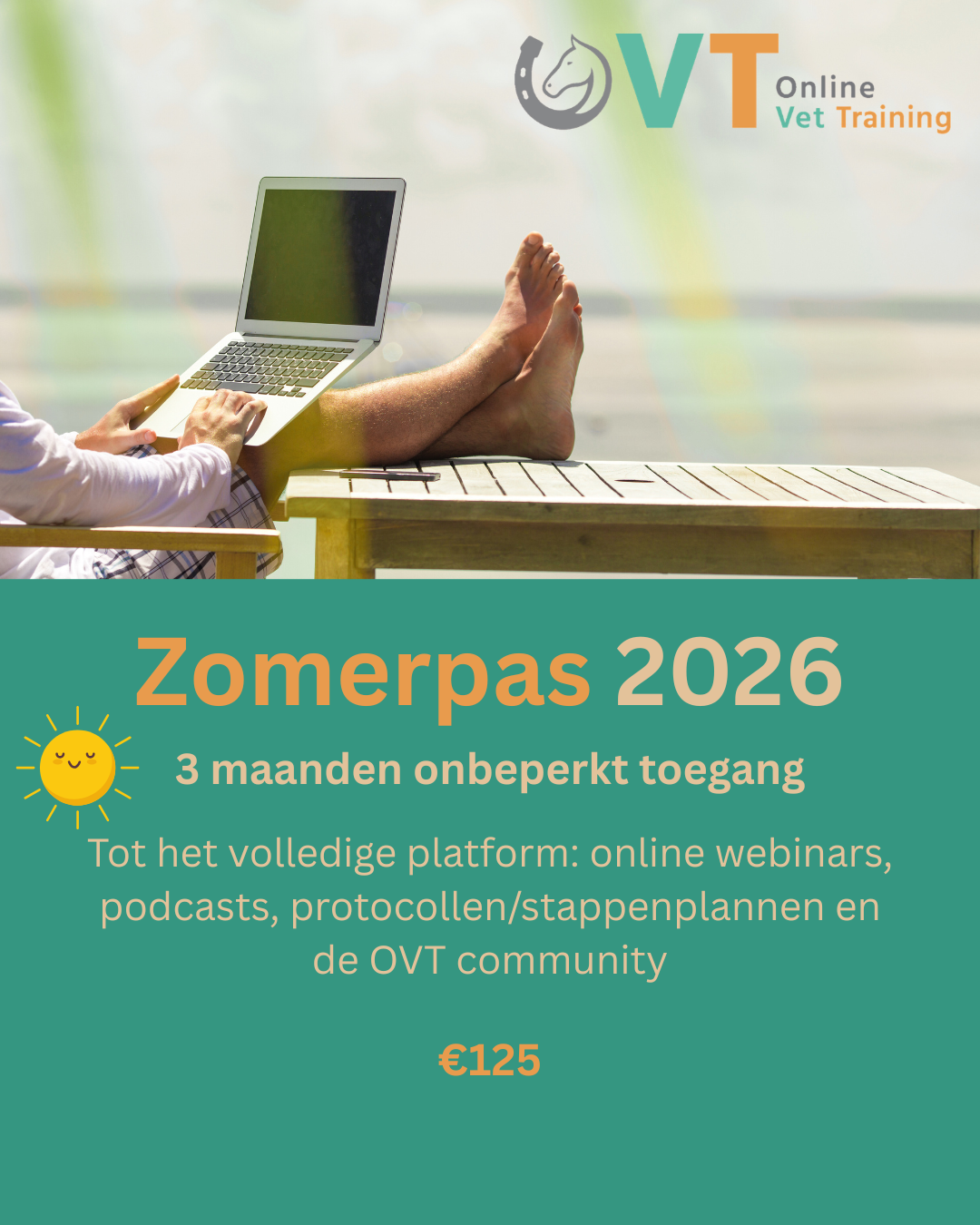 image of promoted courseZomerpas