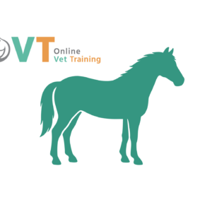 OVT minicongres