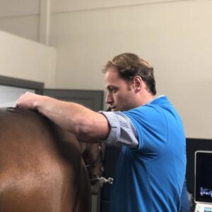 Afbeelding van Online Vet Training-lesgever Lothar Vanslambrouck