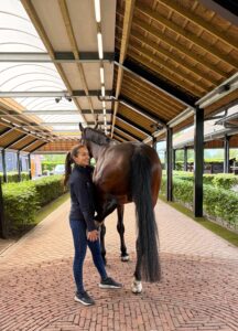 afbeelding van Online Vet Training Paard lesgever Rosalie Bos