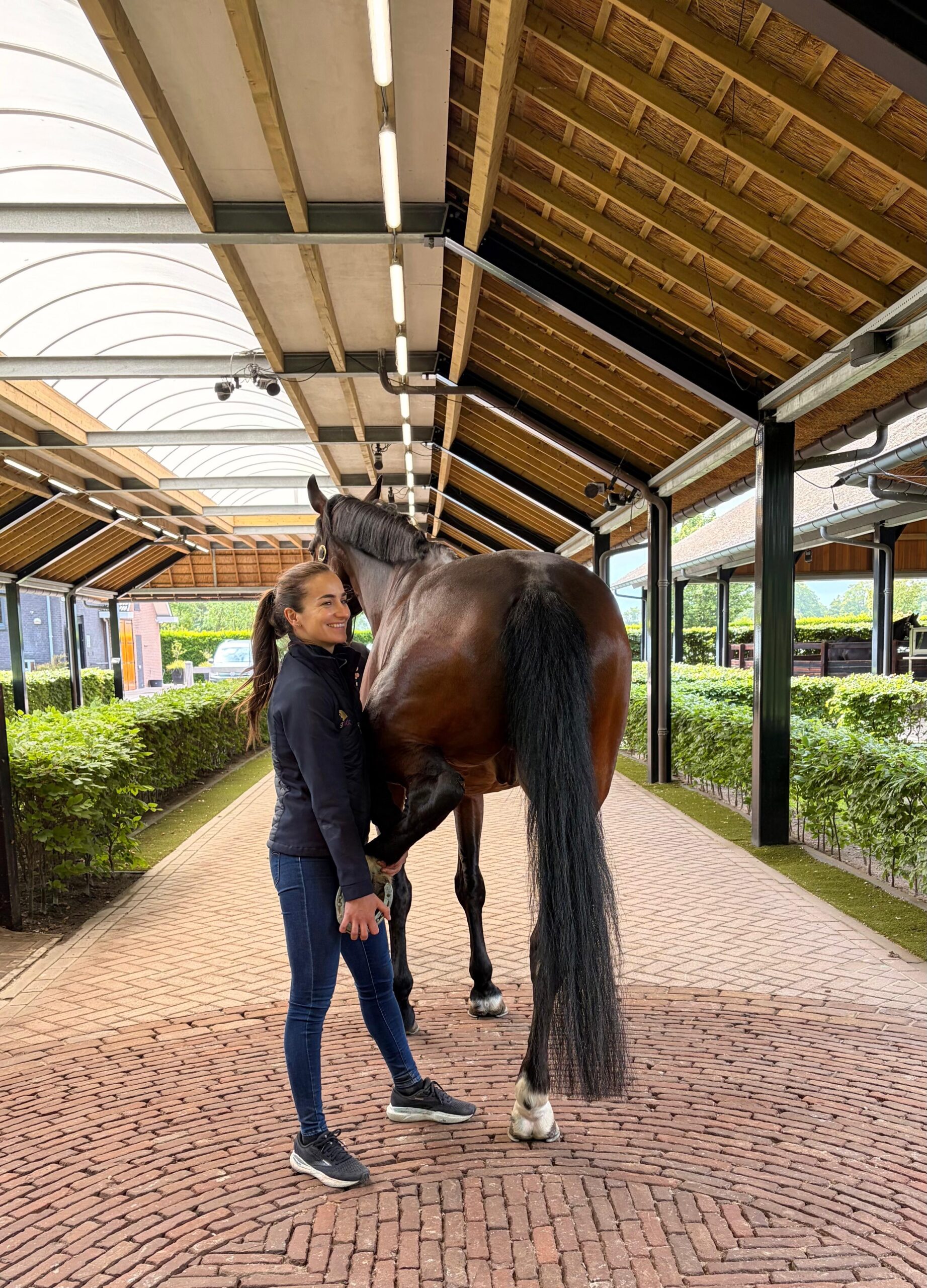 afbeelding van Online Vet Training Paard lesgever Rosalie Bos
